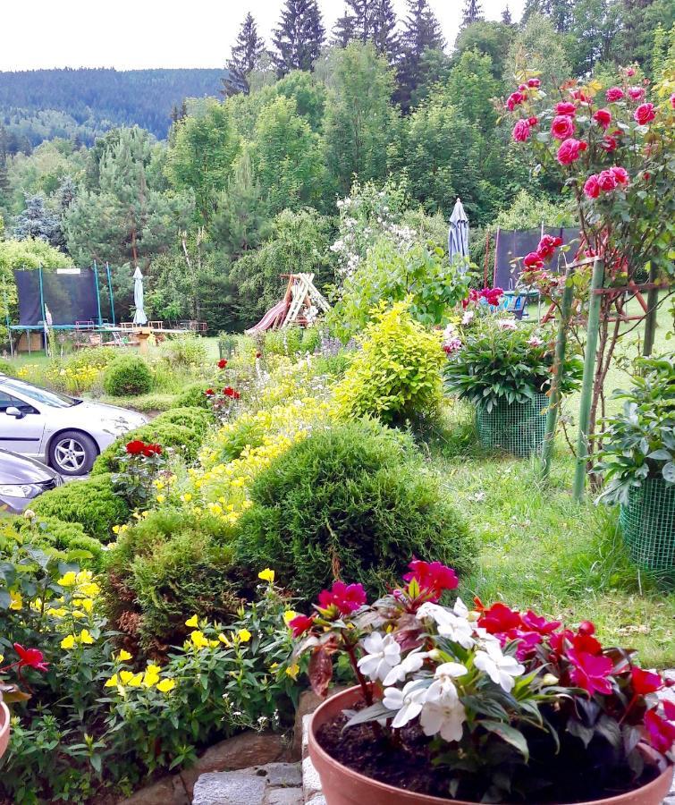 Apartamenty Dom Na Wzgorzu Gardenia Stronie Slaskie Bagian luar foto